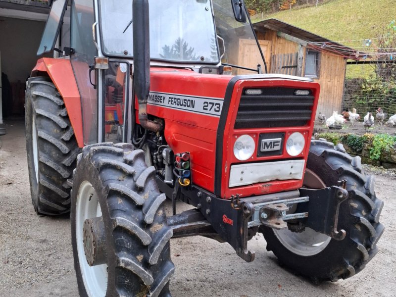 Traktor des Typs Massey Ferguson 273, Gebrauchtmaschine in Langenwang-Schwöbing (Bild 1)