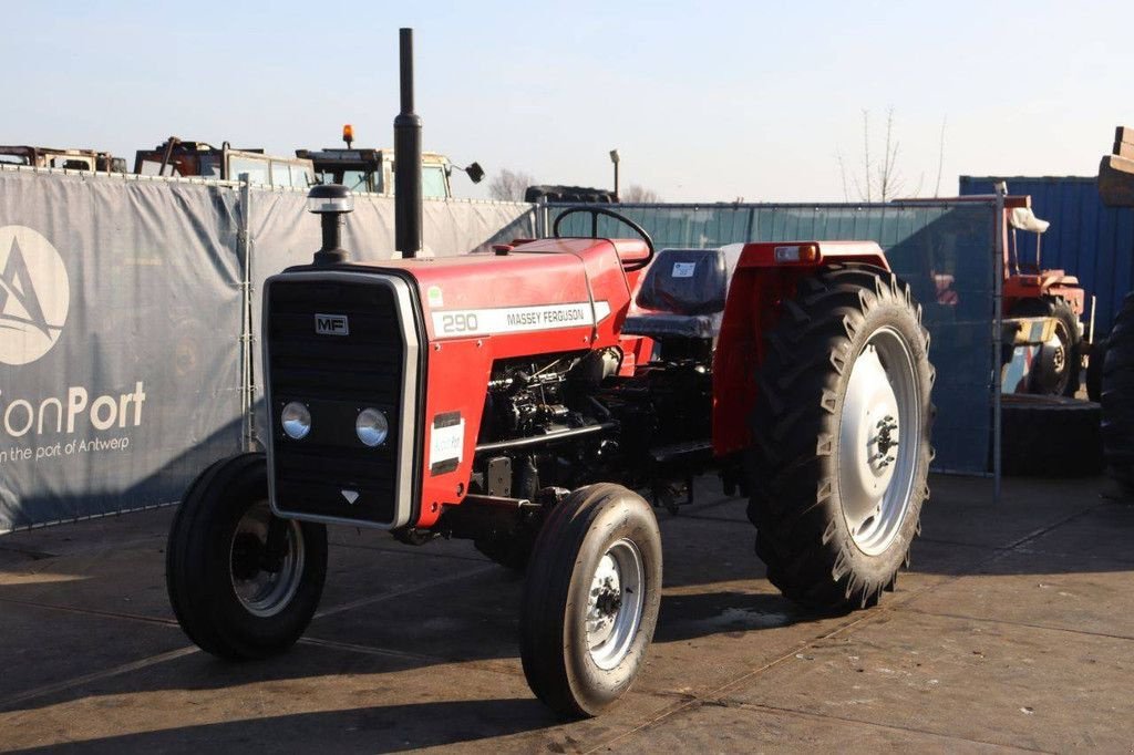Traktor типа Massey Ferguson 290, Neumaschine в Antwerpen (Фотография 10)