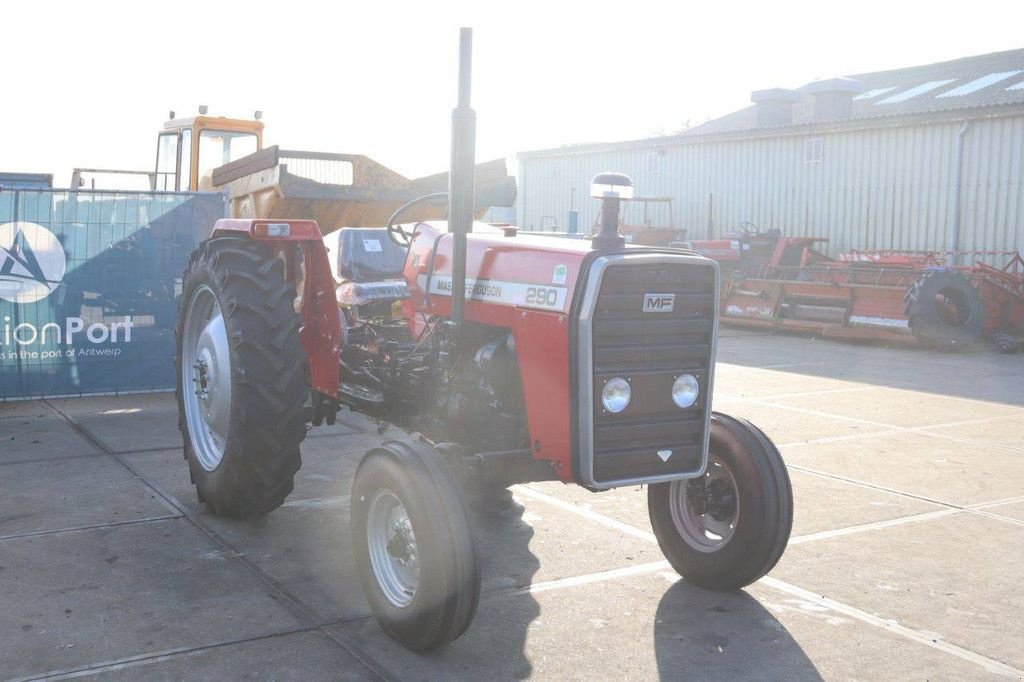 Traktor типа Massey Ferguson 290, Neumaschine в Antwerpen (Фотография 8)