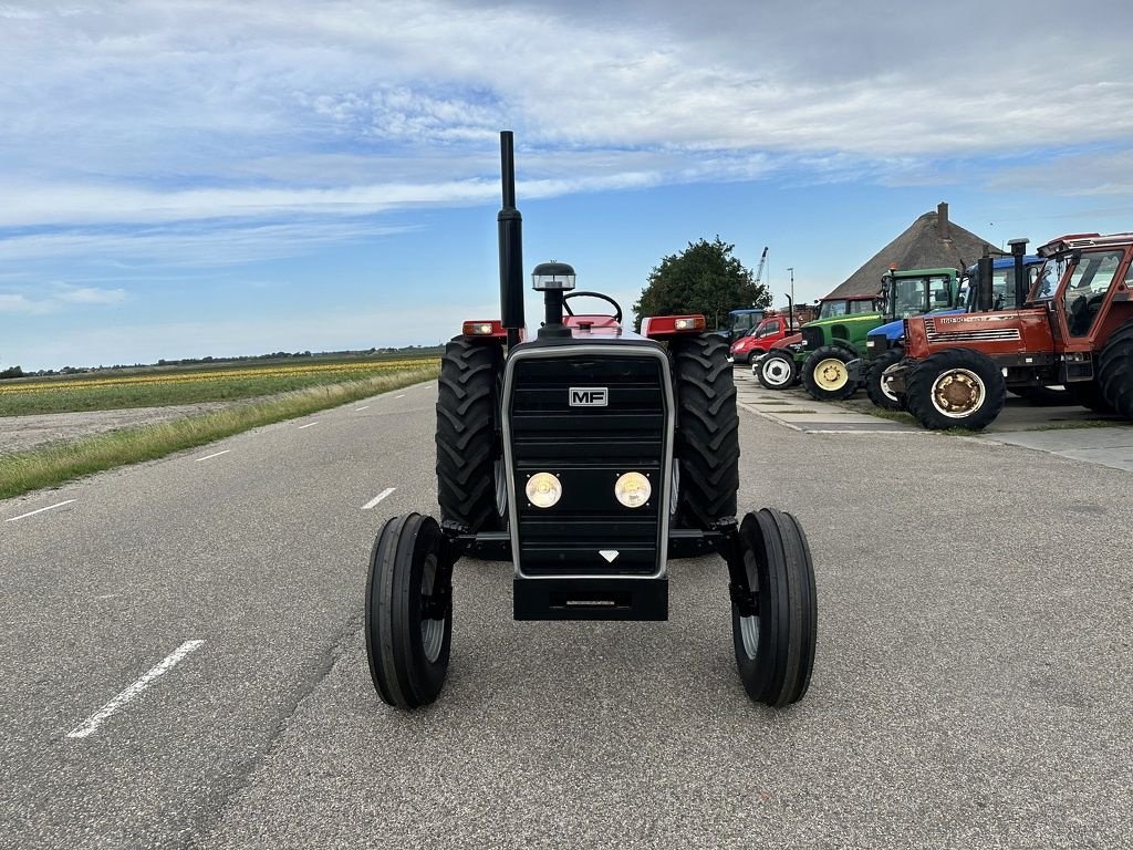 Traktor van het type Massey Ferguson 290, Neumaschine in Callantsoog (Foto 2)