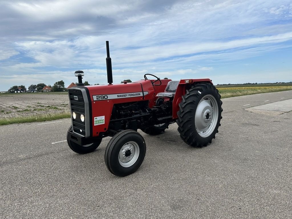 Traktor van het type Massey Ferguson 290, Neumaschine in Callantsoog (Foto 1)