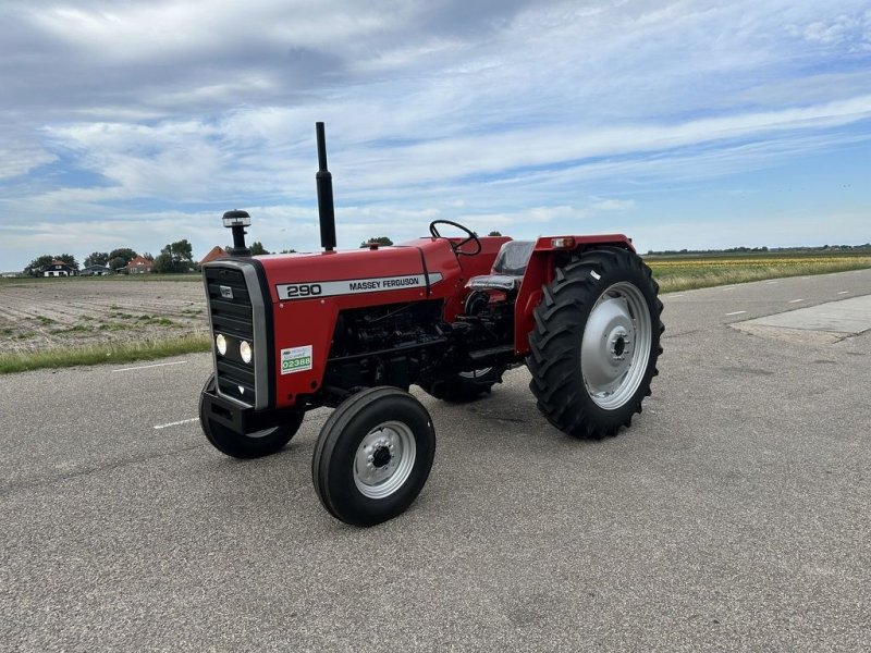 Traktor van het type Massey Ferguson 290, Neumaschine in Callantsoog (Foto 1)