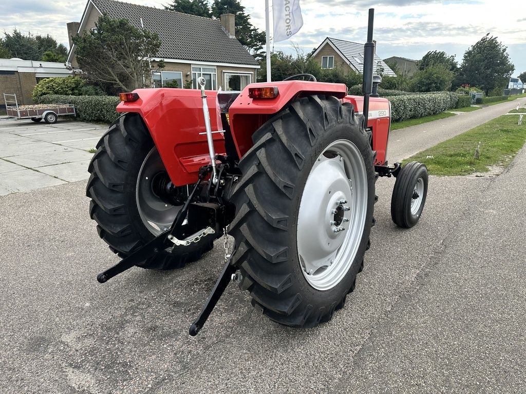 Traktor van het type Massey Ferguson 290, Neumaschine in Callantsoog (Foto 11)
