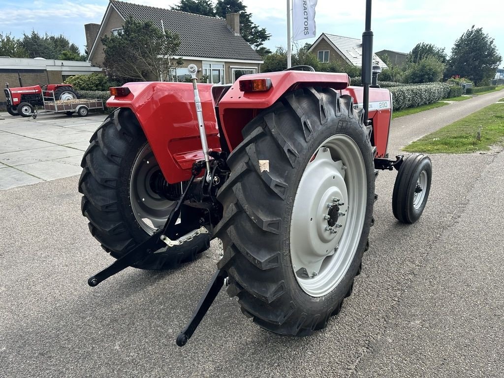 Traktor van het type Massey Ferguson 290, Neumaschine in Callantsoog (Foto 11)