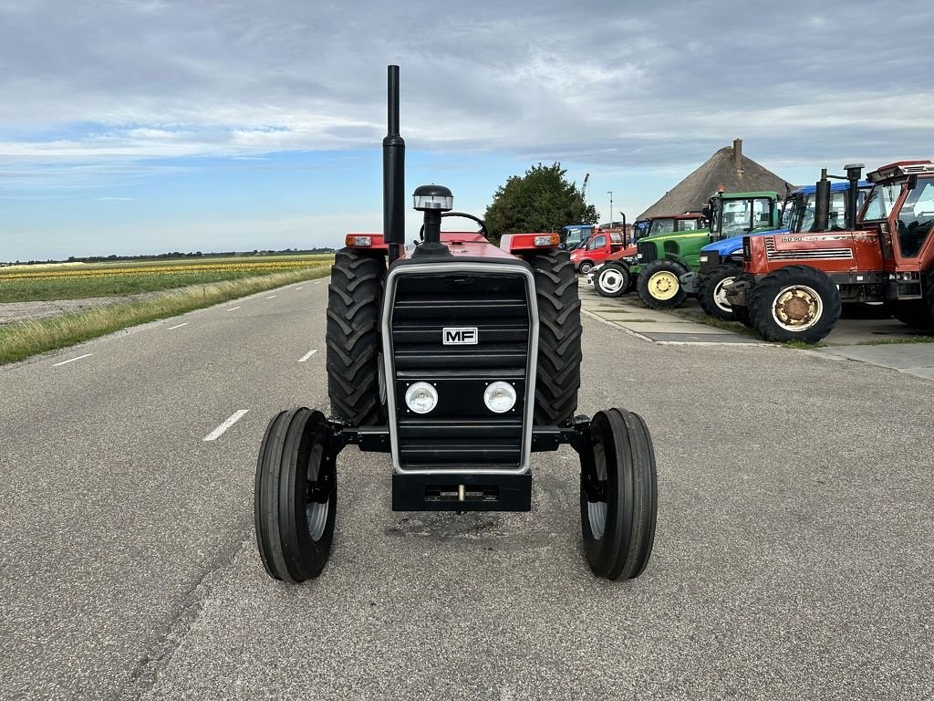 Traktor van het type Massey Ferguson 290, Neumaschine in Callantsoog (Foto 2)