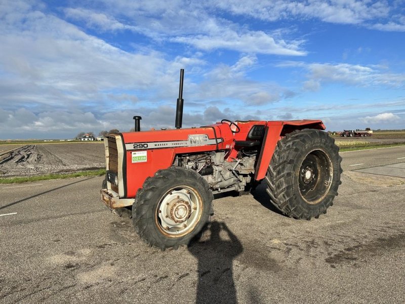 Traktor του τύπου Massey Ferguson 290, Gebrauchtmaschine σε Callantsoog (Φωτογραφία 1)