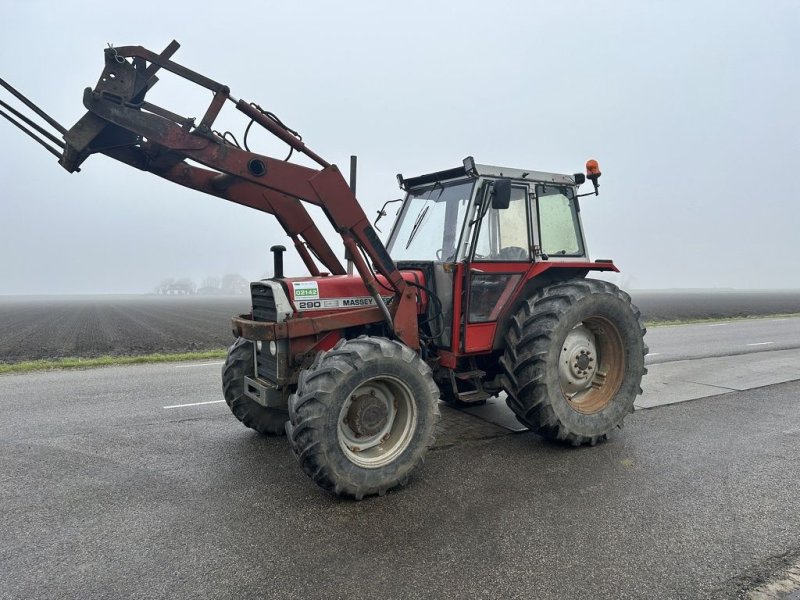 Traktor des Typs Massey Ferguson 290, Gebrauchtmaschine in Callantsoog (Bild 1)
