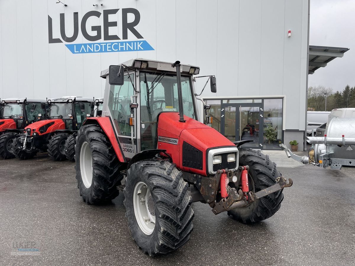 Traktor typu Massey Ferguson 3065-4 Special, Gebrauchtmaschine w Niederkappel (Zdjęcie 1)