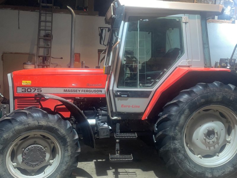 Traktor typu Massey Ferguson 3075 Dynashift, Gebrauchtmaschine v st.Leonhard Hw (Obrázek 1)