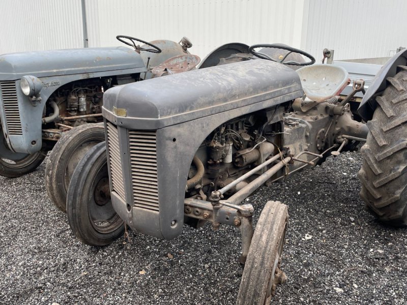 Traktor Türe ait Massey Ferguson 31, Gebrauchtmaschine içinde Holstebro (resim 1)