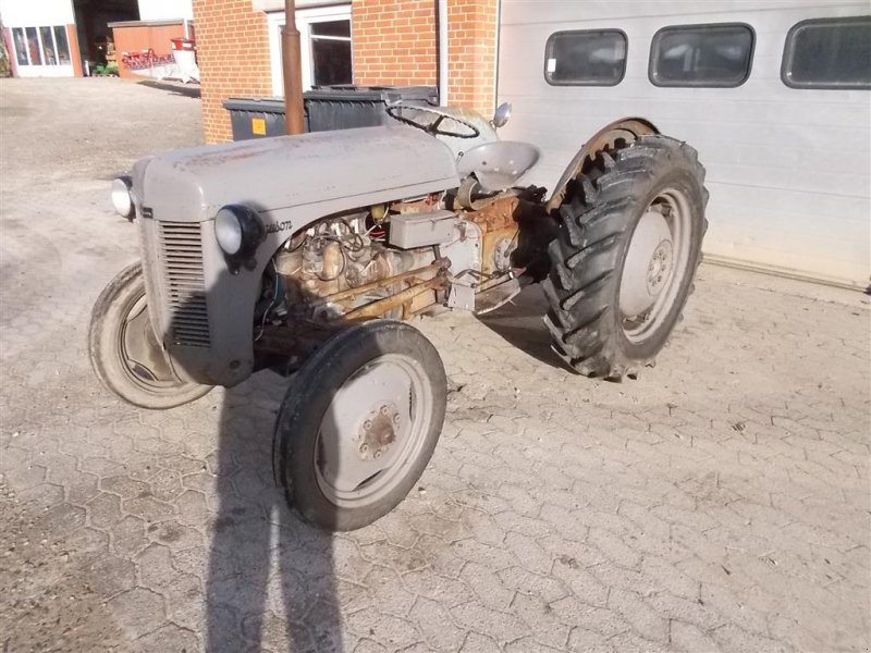 Traktor van het type Massey Ferguson 31, Gebrauchtmaschine in Roslev (Foto 1)