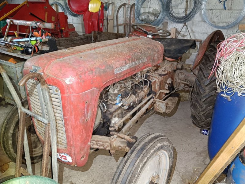 Traktor типа Massey Ferguson 35 benzin, Gebrauchtmaschine в Egtved