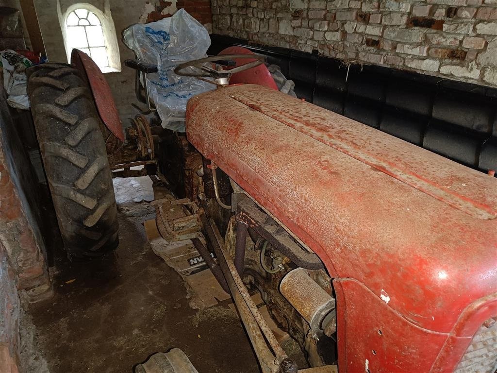 Traktor des Typs Massey Ferguson 35 benzin, Gebrauchtmaschine in Egtved (Bild 2)