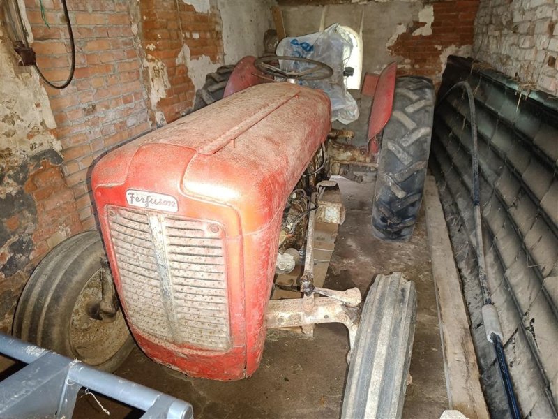 Traktor des Typs Massey Ferguson 35 benzin, Gebrauchtmaschine in Egtved (Bild 1)