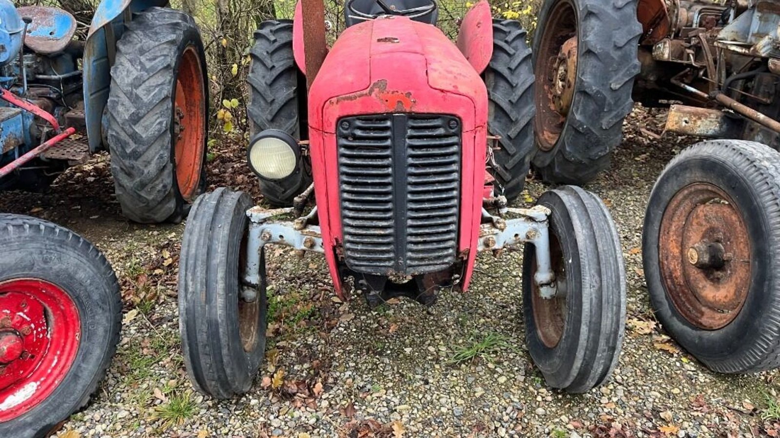 Traktor του τύπου Massey Ferguson 35 benzin, Gebrauchtmaschine σε Rødovre (Φωτογραφία 3)