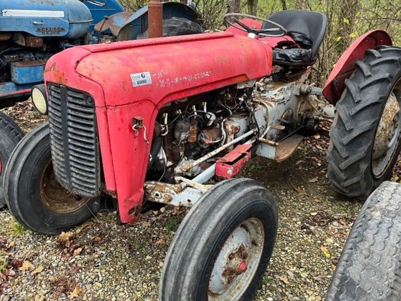 Traktor del tipo Massey Ferguson 35 benzin, Gebrauchtmaschine en Rødovre (Imagen 1)