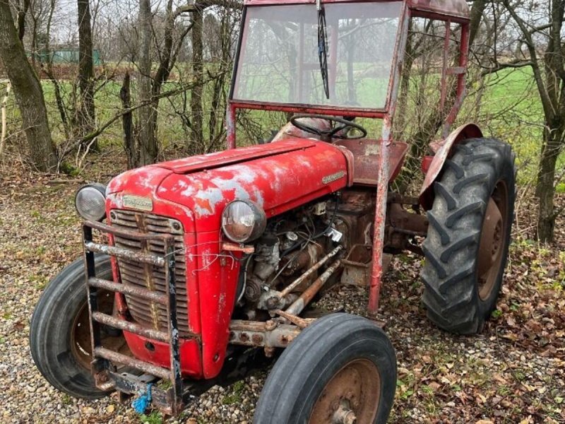 Traktor del tipo Massey Ferguson 35 benzin, Gebrauchtmaschine en Rødovre (Imagen 1)