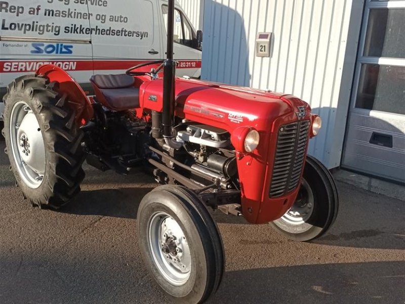 Traktor a típus Massey Ferguson 35 benzin, Gebrauchtmaschine ekkor: Roslev (Kép 1)