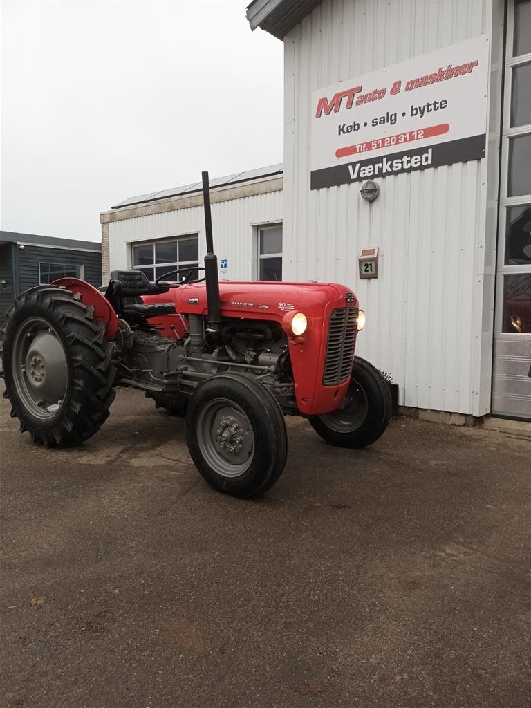 Traktor of the type Massey Ferguson 35 benzin, Gebrauchtmaschine in Roslev (Picture 1)