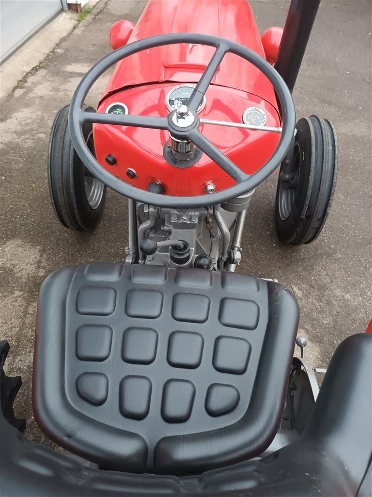 Traktor of the type Massey Ferguson 35 benzin, Gebrauchtmaschine in Roslev (Picture 4)