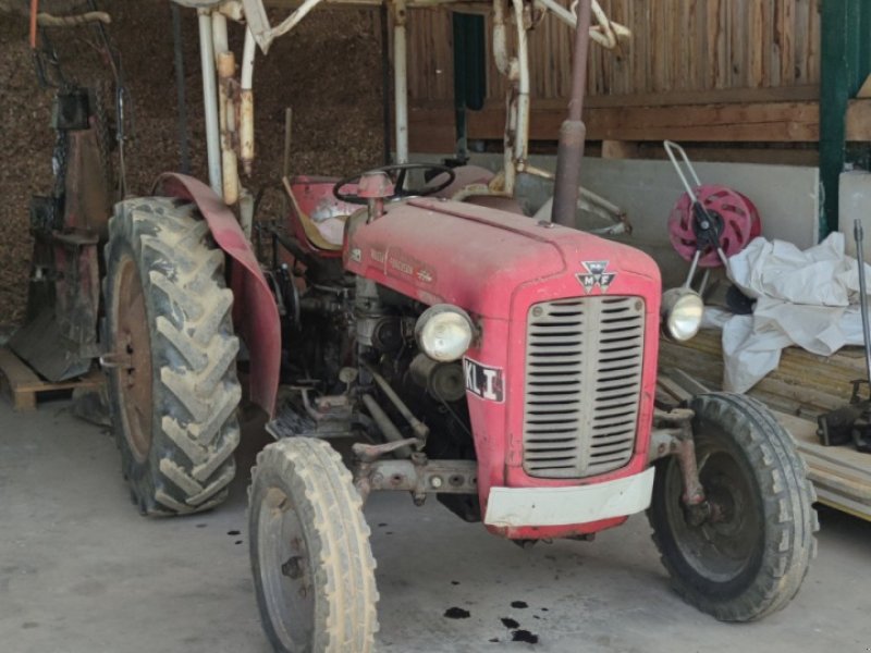 Traktor des Typs Massey Ferguson 35 X, Gebrauchtmaschine in Perg (Bild 1)