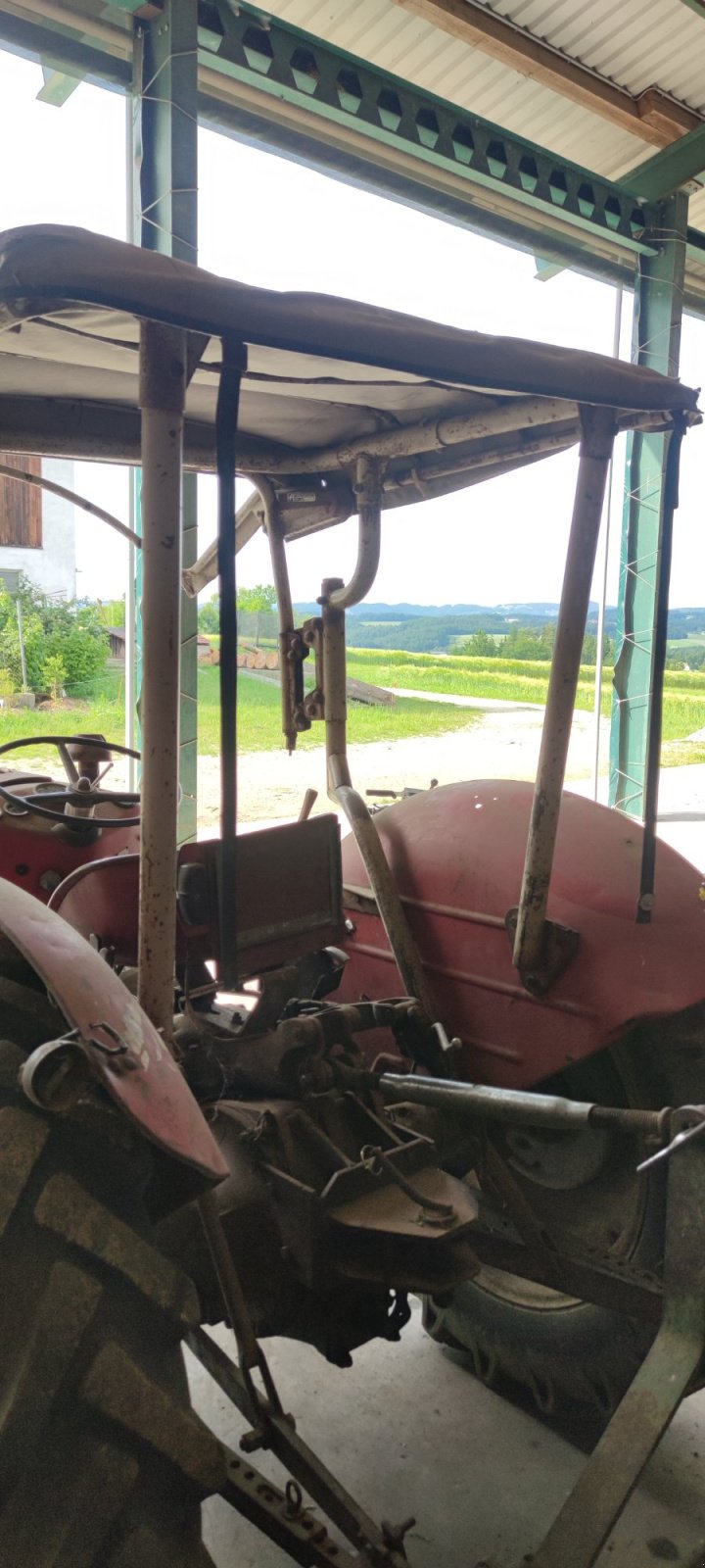 Traktor του τύπου Massey Ferguson 35 X, Gebrauchtmaschine σε Perg (Φωτογραφία 3)