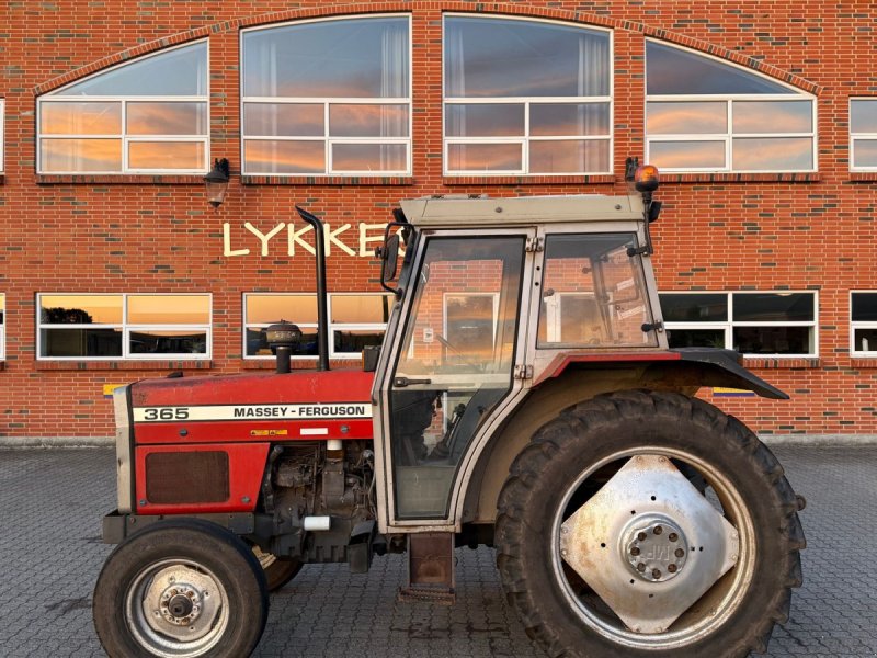 Traktor typu Massey Ferguson 365, Gebrauchtmaschine v Gjerlev J. (Obrázek 1)