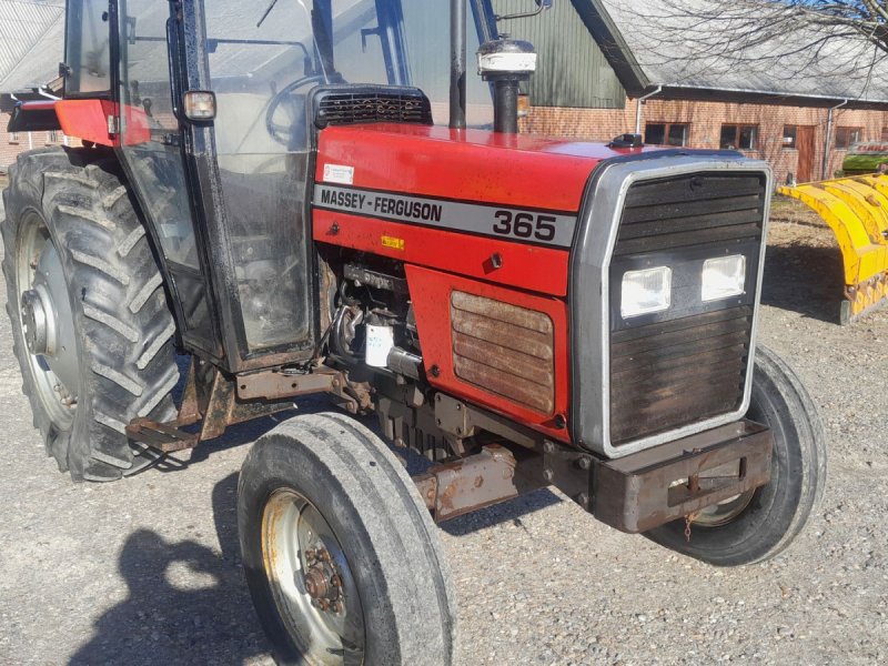 Traktor van het type Massey Ferguson 365, Gebrauchtmaschine in Skive
