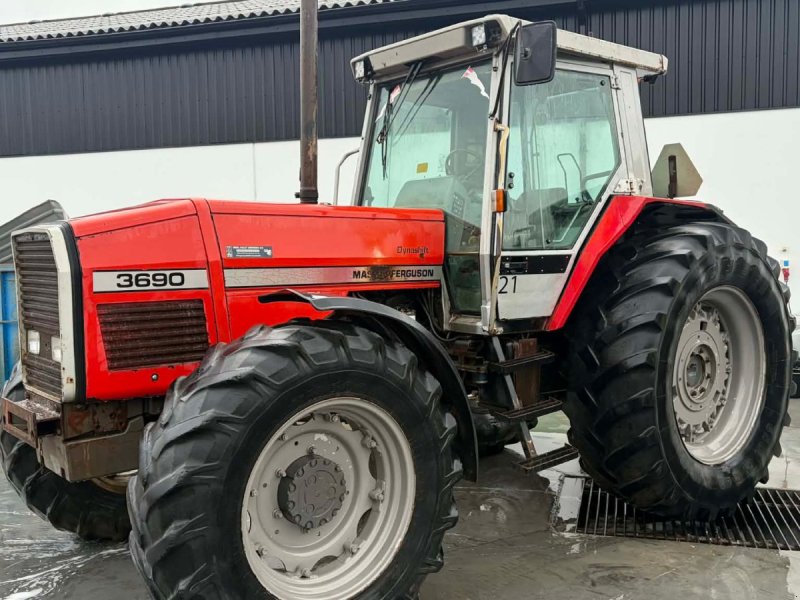 Traktor des Typs Massey Ferguson 3690 Dynashift, Gebrauchtmaschine in Mariager
