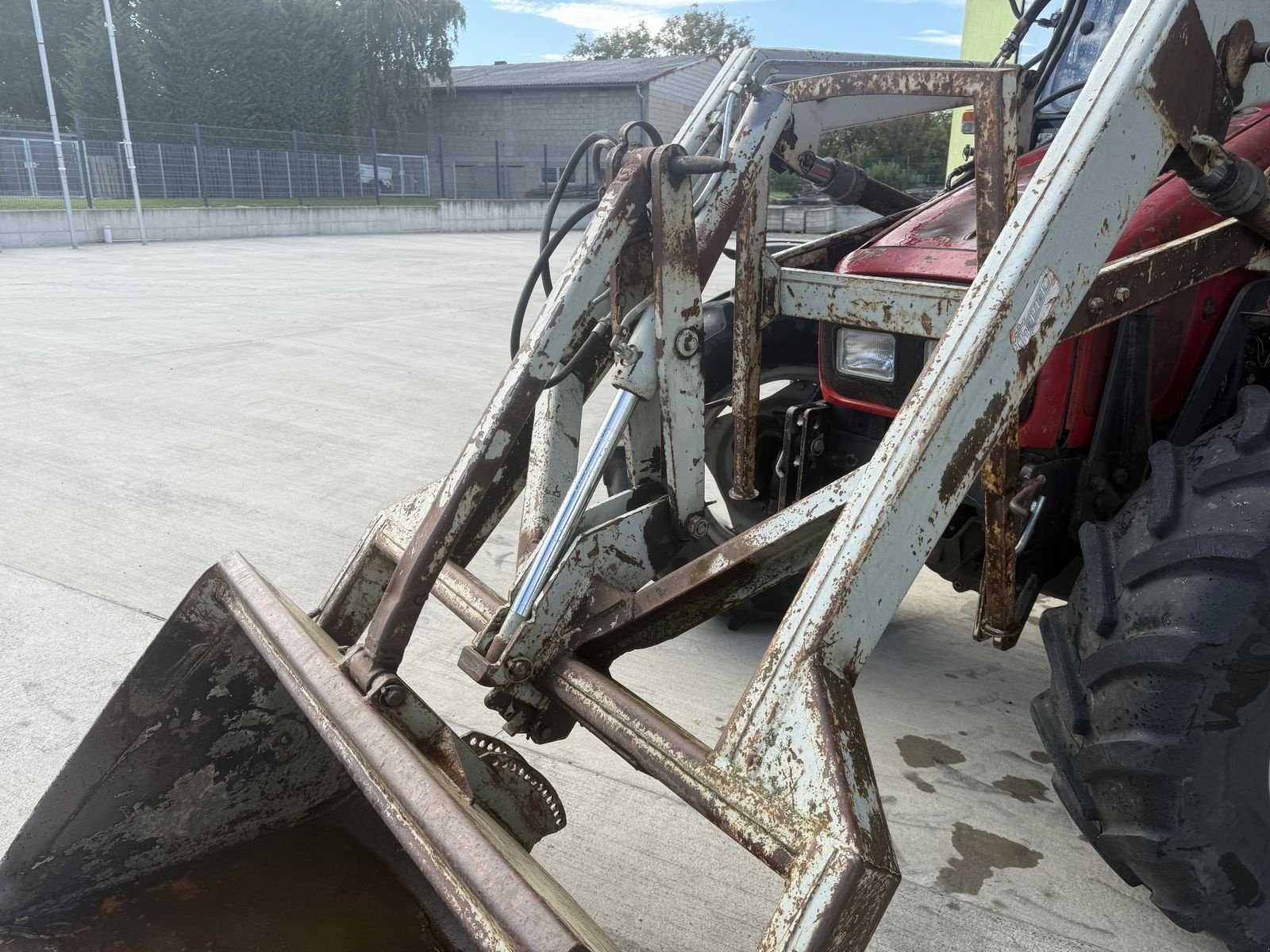 Traktor des Typs Massey Ferguson 4245-4 KL, Gebrauchtmaschine in Hohenruppersdorf (Bild 13)