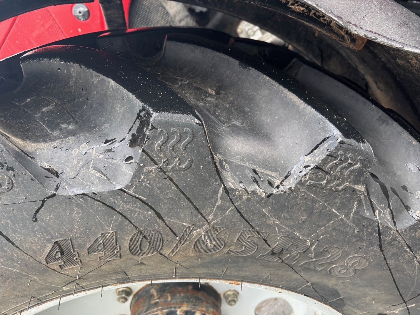 Traktor des Typs Massey Ferguson 5455, Gebrauchtmaschine in Petersberg (Bild 10)