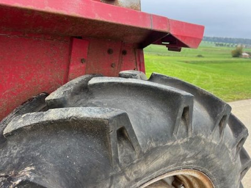 Traktor del tipo Massey Ferguson 575 MP, Gebrauchtmaschine en NATTERNBACH (Imagen 3)