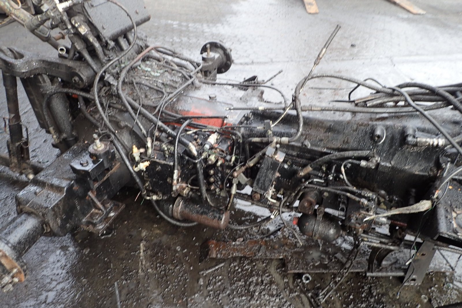 Traktor of the type Massey Ferguson 6290, Gebrauchtmaschine in Viborg (Picture 4)