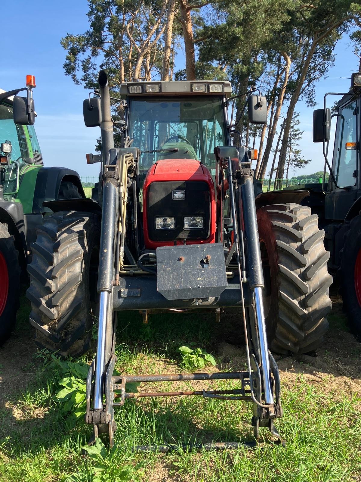 Traktor des Typs Massey Ferguson 6290, Gebrauchtmaschine in Hillerse (Bild 3)