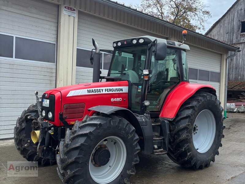 Traktor des Typs Massey Ferguson 6480, Gebrauchtmaschine in Riedhausen (Bild 1)