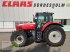 Traktor Türe ait Massey Ferguson 6495 Dynashift 4, Gebrauchtmaschine içinde Bordesholm (resim 1)