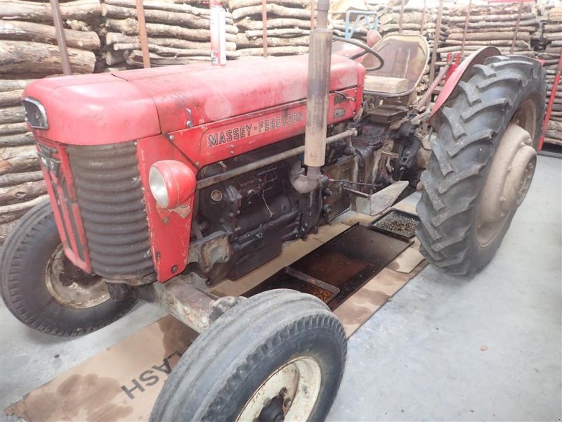Traktor van het type Massey Ferguson 65 Gode dæk, står original, Gebrauchtmaschine in Egtved (Foto 1)