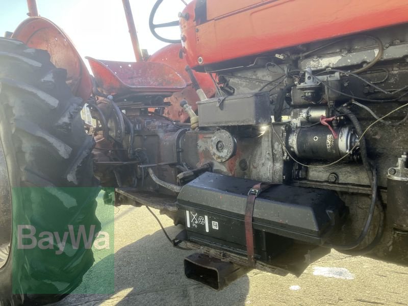 Traktor tipa Massey Ferguson 65, Gebrauchtmaschine u Bamberg (Slika 17)