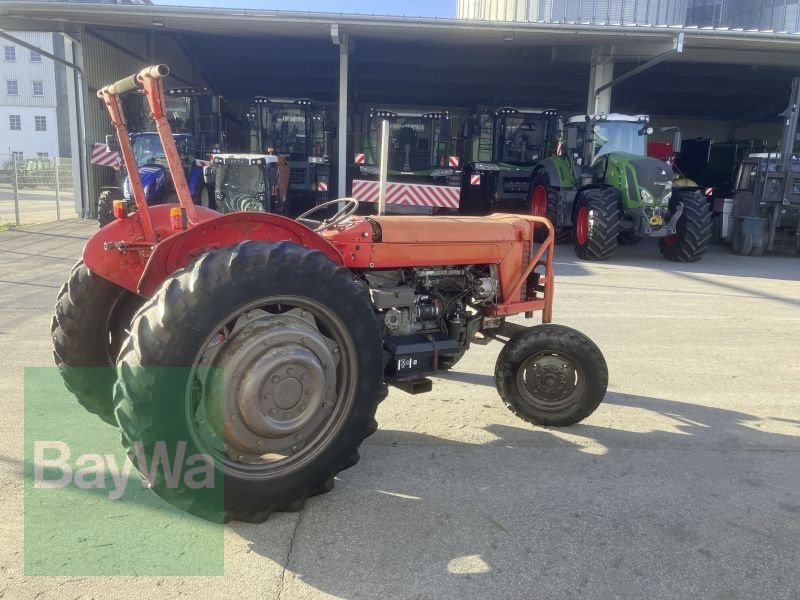 Traktor tipa Massey Ferguson 65, Gebrauchtmaschine u Bamberg (Slika 3)
