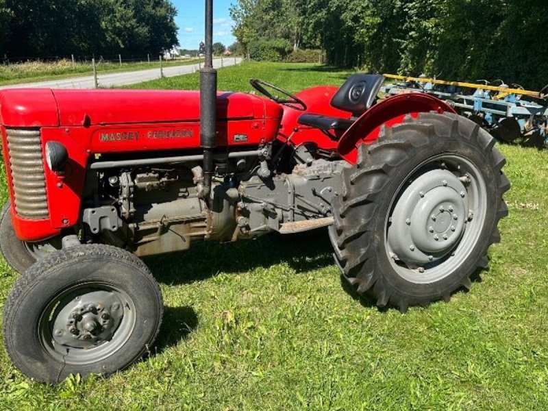 Traktor des Typs Massey Ferguson 65, Gebrauchtmaschine in Rødovre (Bild 1)