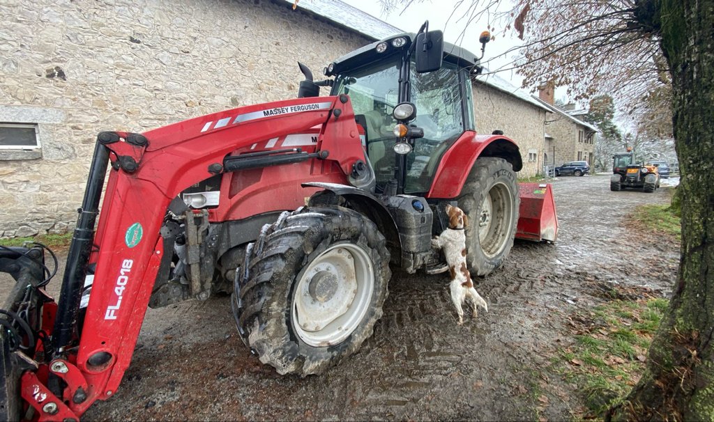 Traktor del tipo Massey Ferguson 6713S DYNA-6 EFFICIENT, Gebrauchtmaschine en Millau (Imagen 1)