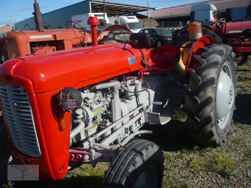 Traktor a típus Massey Ferguson L12L, Gebrauchtmaschine ekkor: Pragsdorf (Kép 1)
