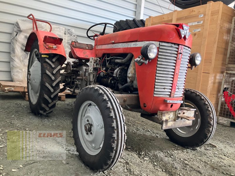 Traktor a típus Massey Ferguson MF 30 Oldtimer, Gebrauchtmaschine ekkor: Hollfeld (Kép 1)