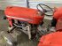 Traktor des Typs Massey Ferguson MF 30 Oldtimer, Gebrauchtmaschine in Hollfeld (Bild 6)
