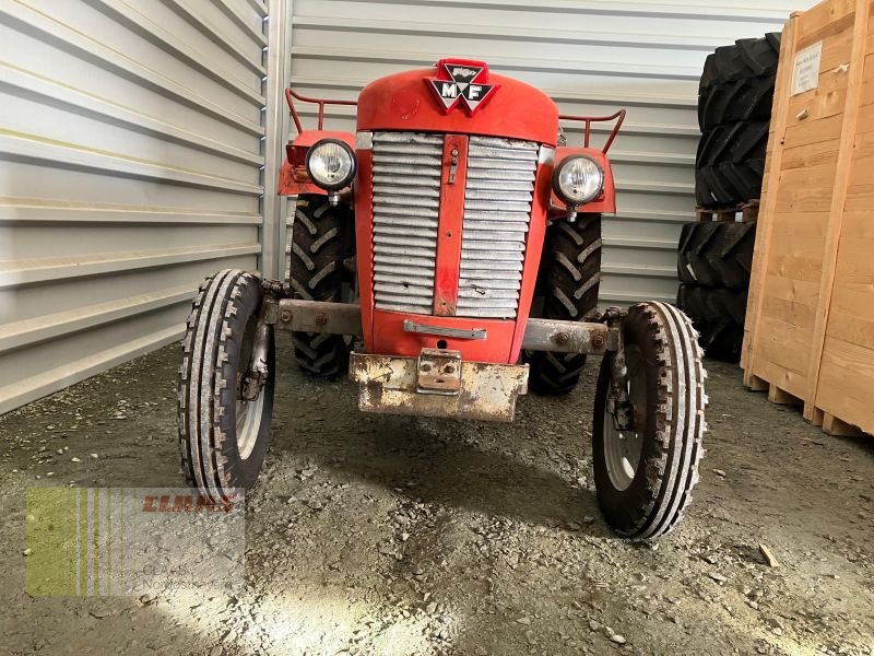Traktor του τύπου Massey Ferguson MF 30 OLDTIMER, Gebrauchtmaschine σε Hollfeld (Φωτογραφία 2)