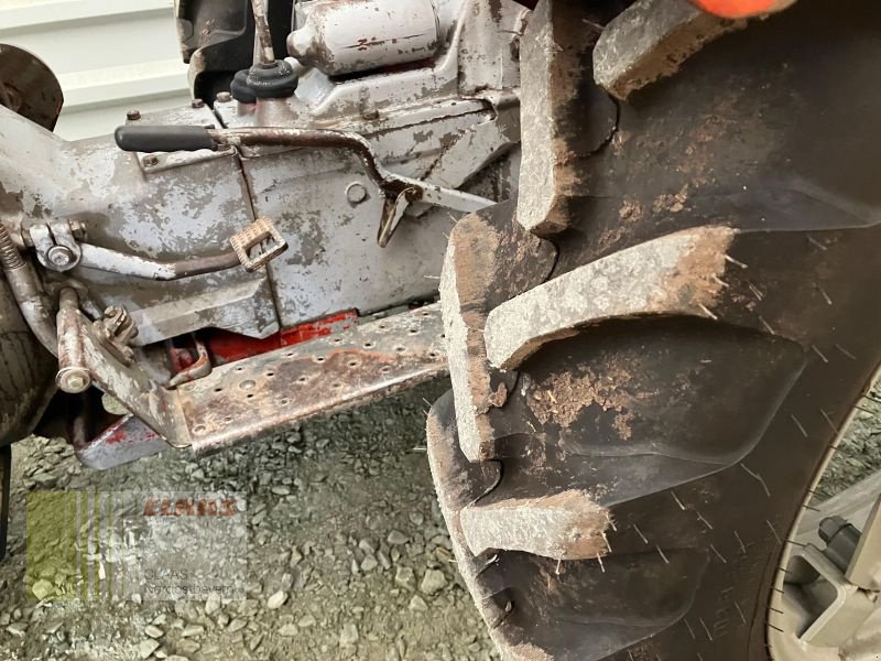 Traktor του τύπου Massey Ferguson MF 30 OLDTIMER, Gebrauchtmaschine σε Hollfeld (Φωτογραφία 10)