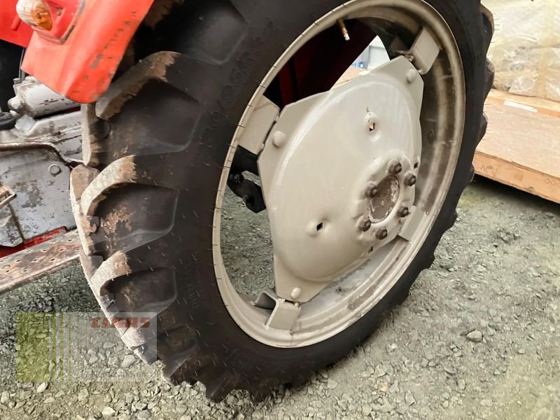 Traktor του τύπου Massey Ferguson MF 30 OLDTIMER, Gebrauchtmaschine σε Hollfeld (Φωτογραφία 9)