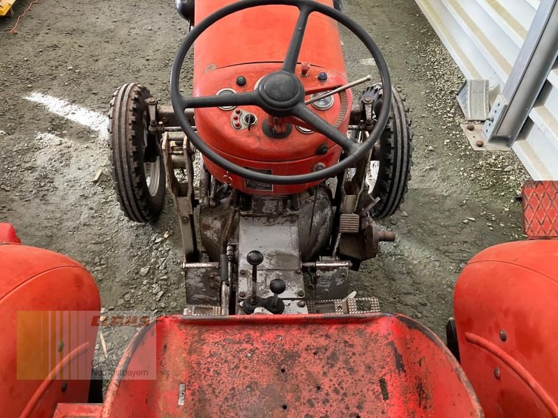 Traktor του τύπου Massey Ferguson MF 30 OLDTIMER, Gebrauchtmaschine σε Hollfeld (Φωτογραφία 11)