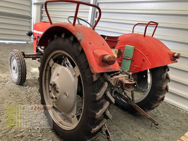 Traktor του τύπου Massey Ferguson MF 30 OLDTIMER, Gebrauchtmaschine σε Hollfeld (Φωτογραφία 5)