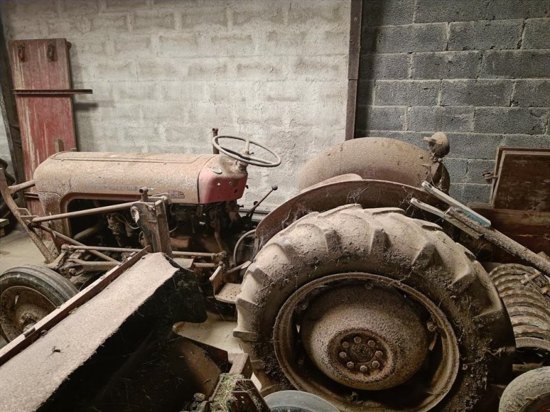 Traktor du type Massey Ferguson MF 35  benzin, Gebrauchtmaschine en Egtved (Photo 1)